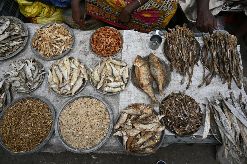 fair trade and sustainability