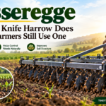Messeregge What This Knife Harrow Does and Why Farmers Still Use One